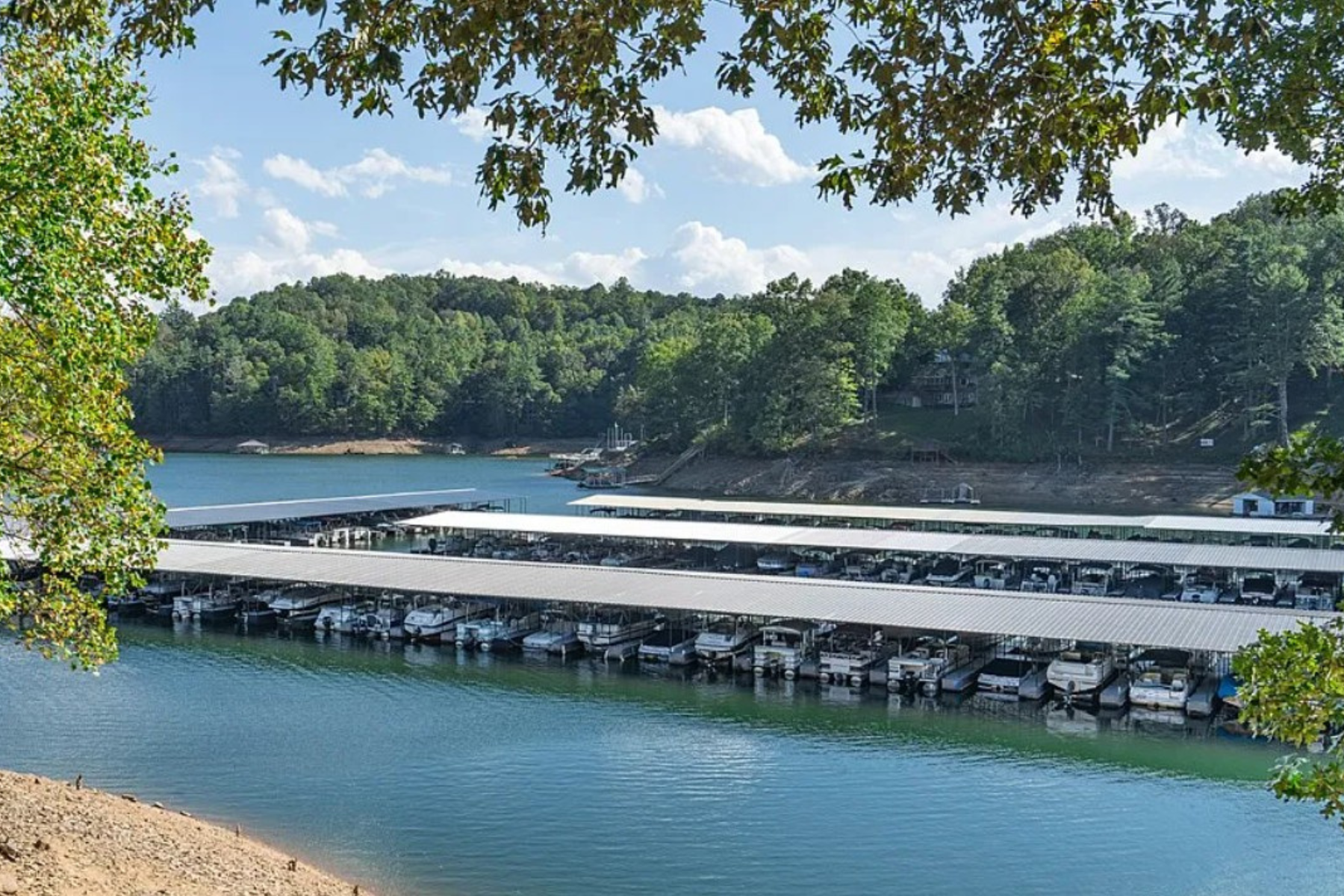 Bear Paw Resort Murphy NC: Lakefront Living, Real Estate & Everything You Need to Know