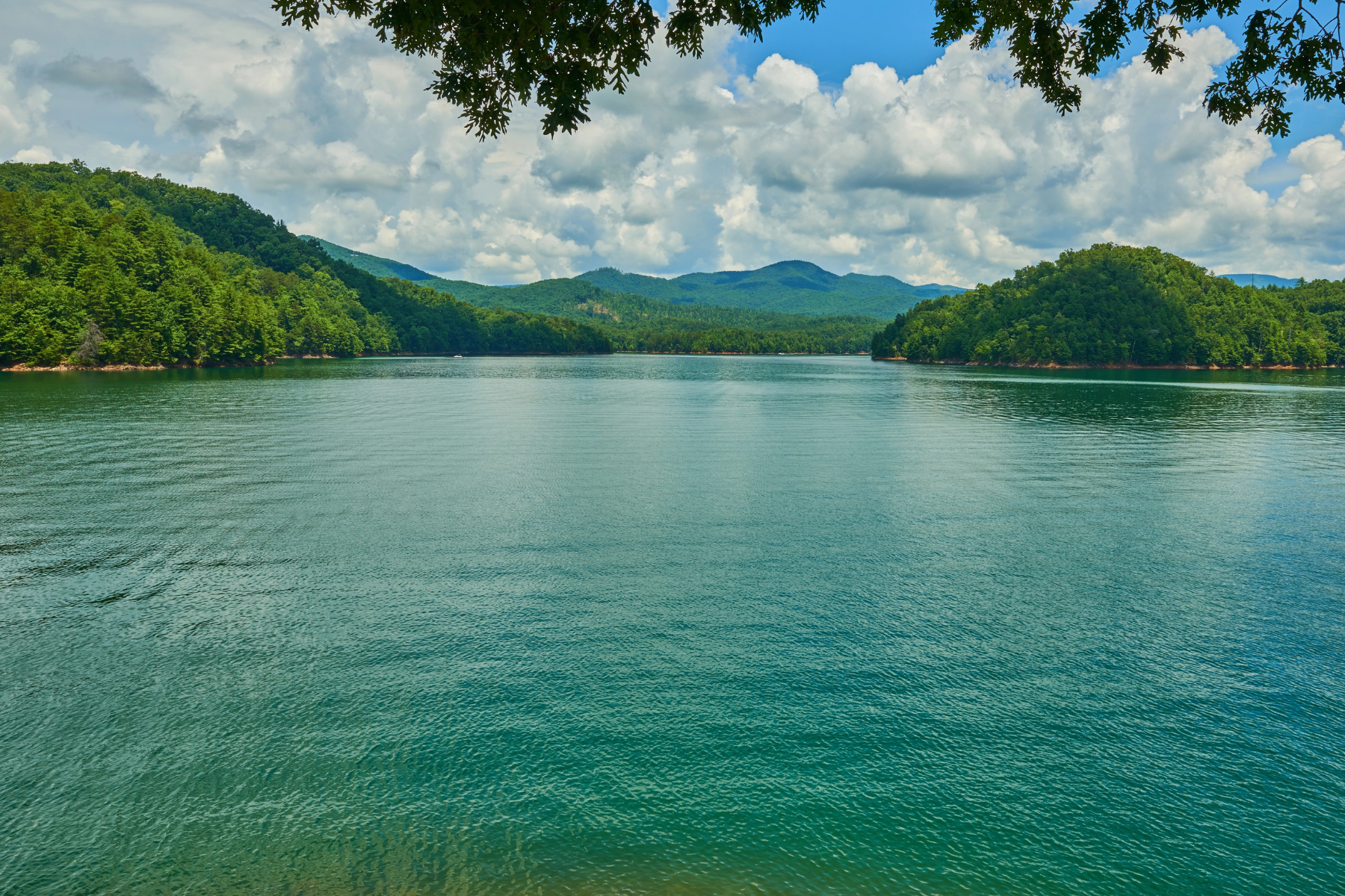Lake Hiwassee, Murphy NC: Where 93% of the Shoreline Is Wild Forest