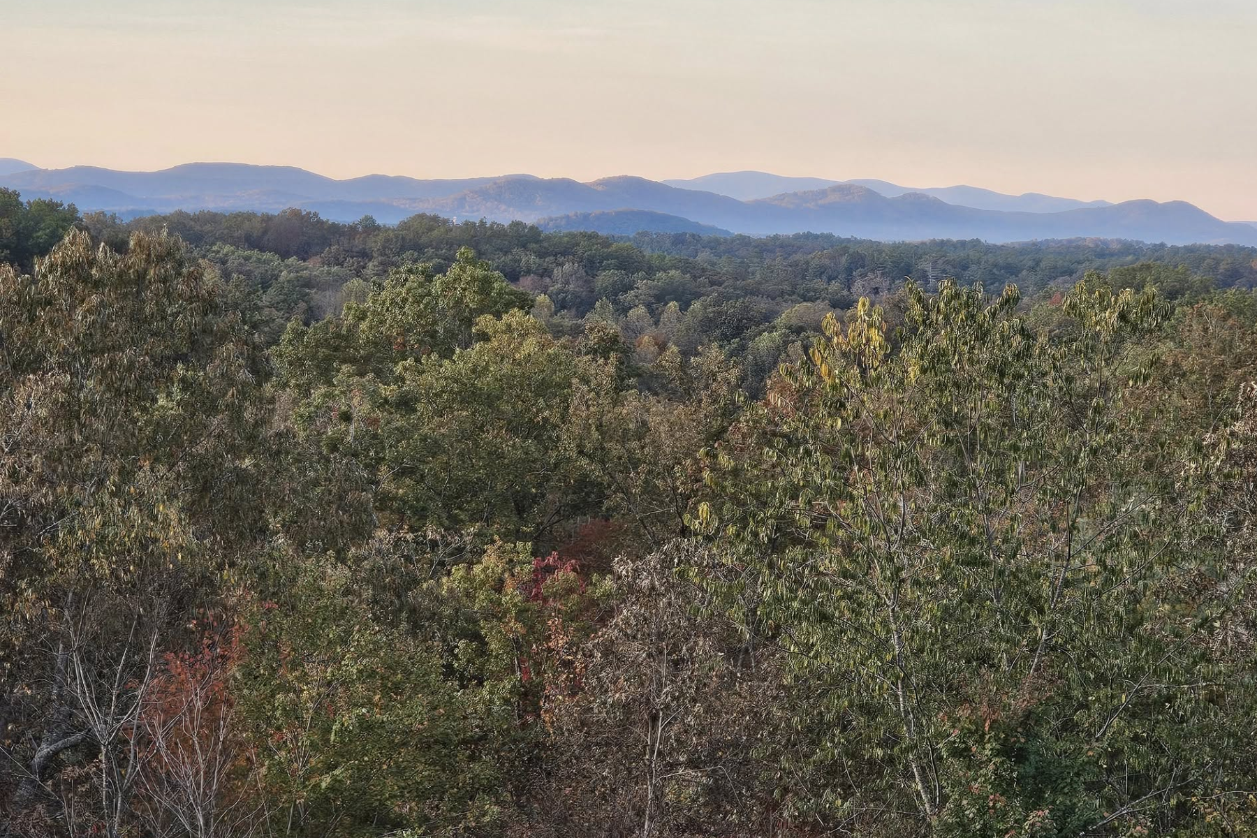 Tarheel, Murphy NC: In the Woods, Minutes from Town